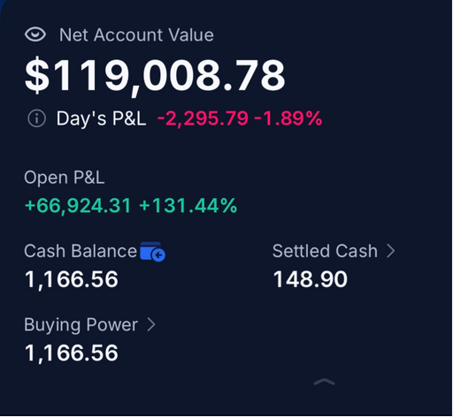 Captura real de la cuenta de Jazmín: valor neto de $119,008.78 y ganancia abierta de +$66,924.31 (+131.44%)